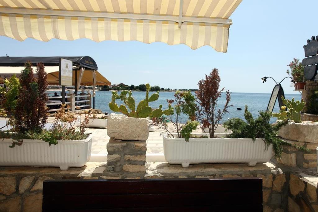 Sea View Apartment Umag 2 Bagian luar foto